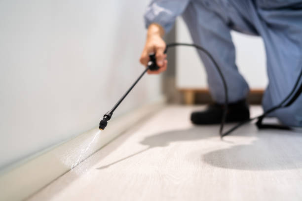 Licensed Termite Control service in Coaling, AL - Nex Pest Control