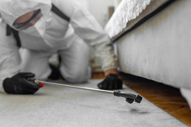 Professional Termite Control technician working in Coaling, AL