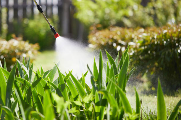 24/7 Emergency Termite Control experts in Coaling, AL
