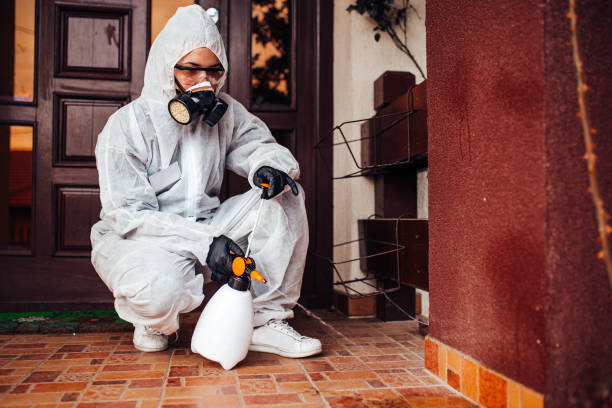 Reliable Termite Control contractor in Coaling, AL by Nex Pest Control
